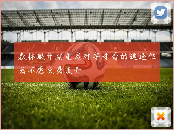 森林狼计划重启对字母哥的追逐但或不愿交易麦丹